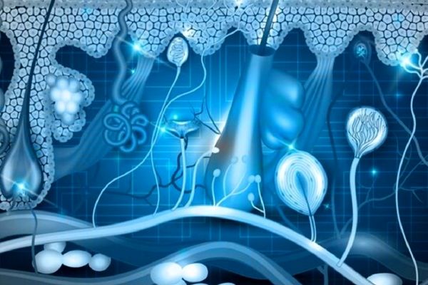 جوانسازی پوست یک زن با کشف روشی جدید توسط دانشمندان