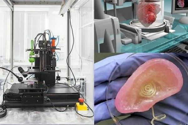 آیا روزی می‌توان عضو پیوندی را چاپ کرد؟