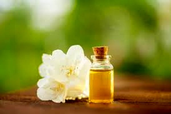 ترفند گرفتن عرق بهار نارنج | فواید عرق بهار نارنج که از آن بی خبرید 