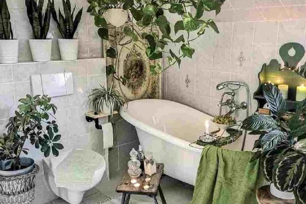 با این گیاهان سرویس بهداشتی را لاکچری کن | ترفند زینت بخشیدن به سرویس بهداشتی