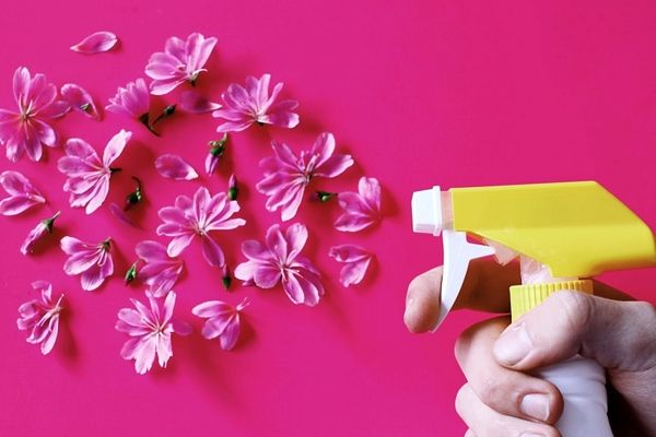 با جاروبرقی خونت را خوشبو کن | ترفند خانه داری که هر کسی بلد نیست