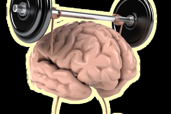 با این روش ها جلوی کوچک شدن مغز را بگیرید 