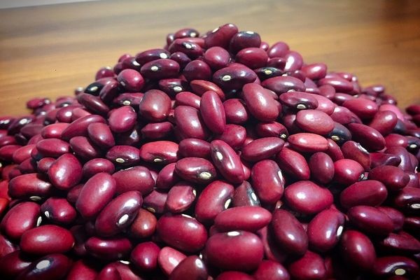 بهترین لوبیا برای قورمه سبزی چیست؟ | لوبیای خورشت قورمه سبزی رو بشناسید! 