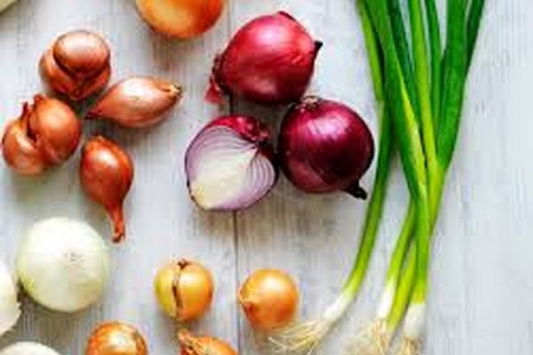 فواید آب پیاز را بدانید | خواص باورنکردنی آب پیاز برای مو، پوست و سلامتی 