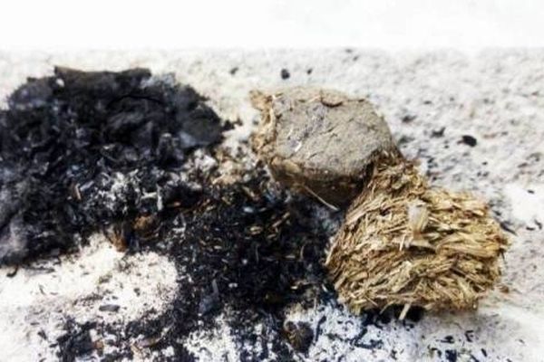 خواص حیرت انگیز عنبرنسارا | درمان همه ی مشکلات بدن با عنبرنسارا