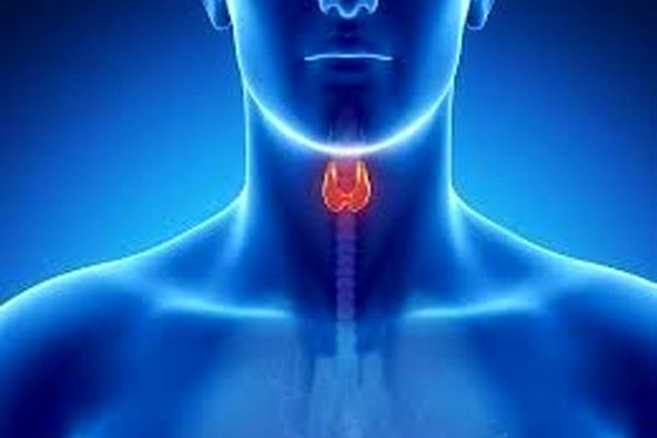 با خوردن این غذاها تیرویید را درمان کنید | راه های درمان تیرویید 