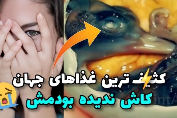 کثیف‌ترین غذاهای دنیا که باورش براتون سخته! | از استفراغ بچه تا چندش‌آورترین غذاهای خیابانی هندی!+ویدئو