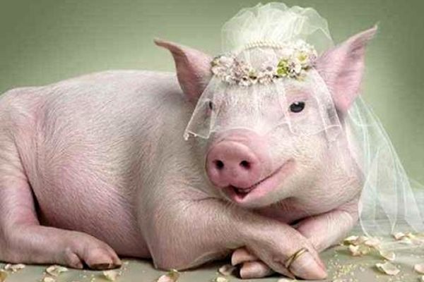 خیز بلند دانشمندان امریکایی با استفاده از تکنولوژی جدید | زنده کردن مرده ممکن شد ؟