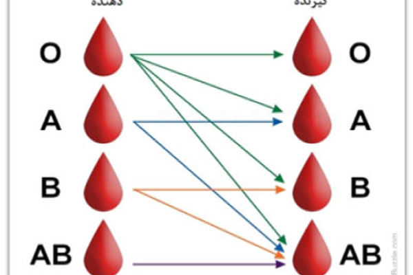 چرا گروه‌های خونی متفاوتی داریم؟