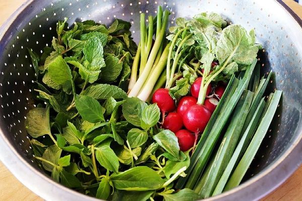 یکبار برای همیشه راز تازه موندن سبزی خوردن رو یاد بگیر! | با این روش تا ۲ ماه سبزی خوردن تر و تازه کنار غذات داری! + ویدئو