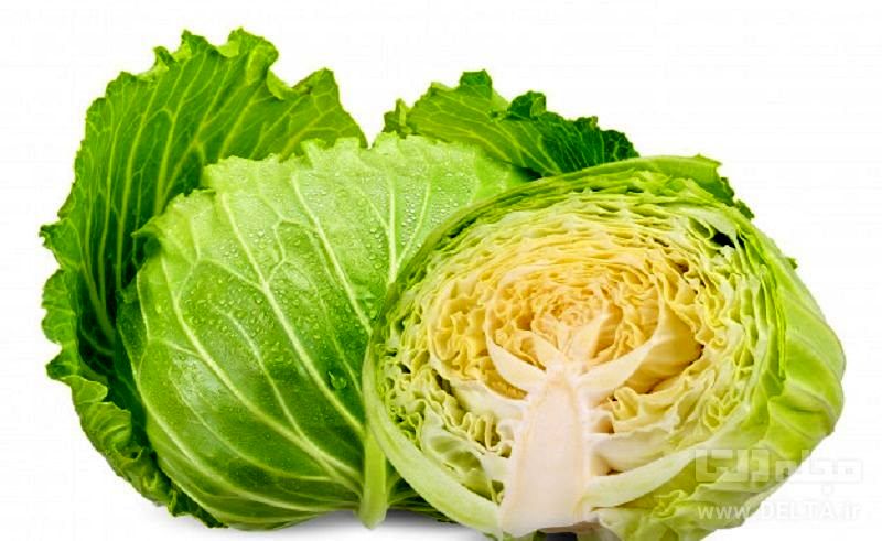 خواص کلم سفید | چندی از معجزات کلم سفید 