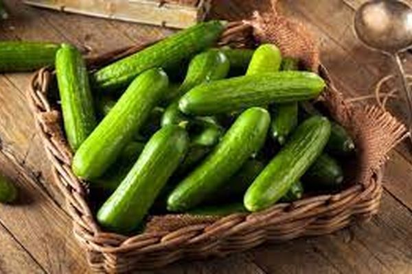 ترفند نگهداری خیار و انواع میوه در یخچال | دیگه نگران خراب شدن میوه و سبزیجات نباش